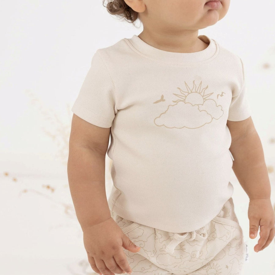 Aster and Oak Cloud Chaser cotton rib Baby tee