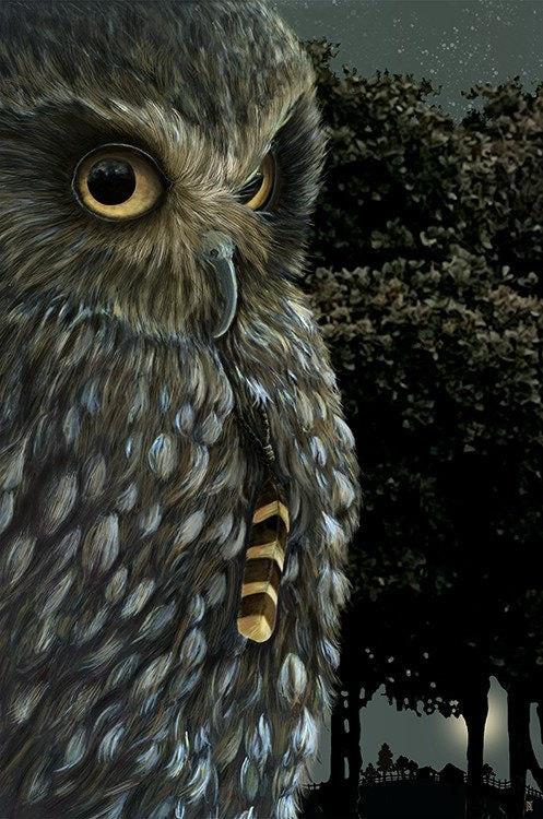 Boxed Aet print of Ruru (morepork) owl.