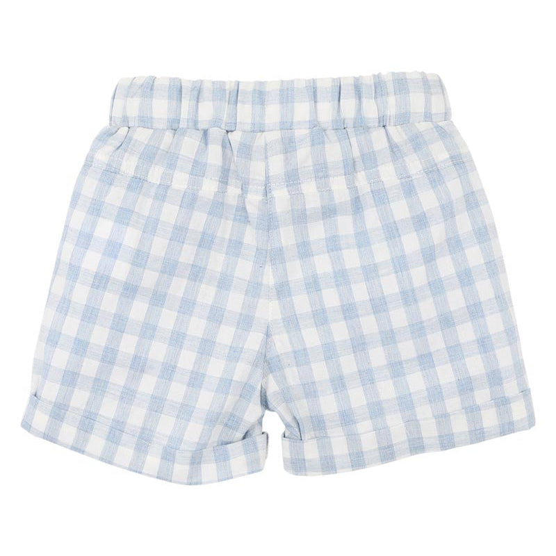 Blue and white checkered shorts on a white background