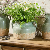 Three rustic ceramic pots with plants on a wooden surface