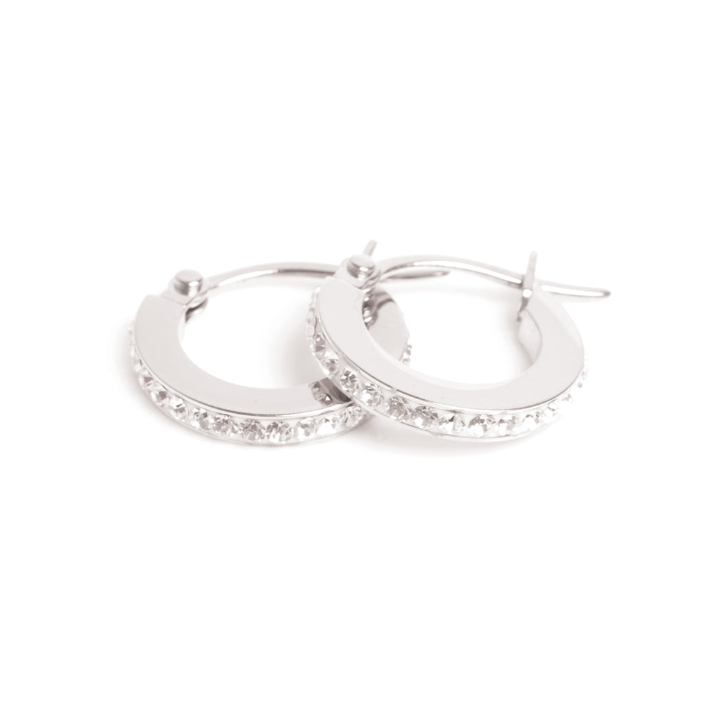 Small steel silver coloured earrings with crystals