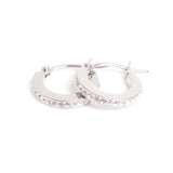 Small steel silver coloured earrings with crystals