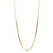 Gold snake chain on a white background