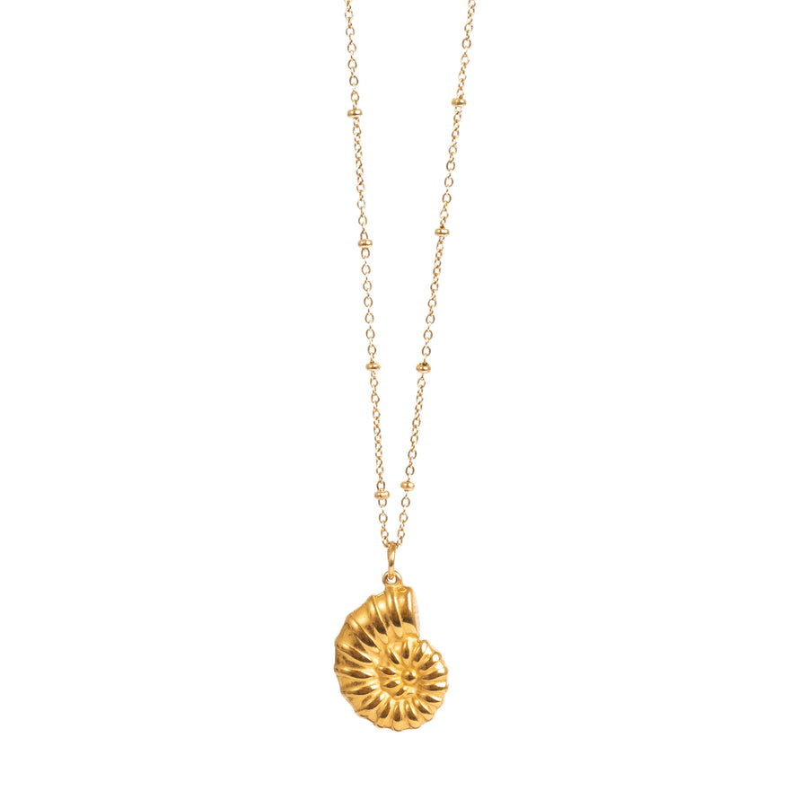 Gold Necklace with gold shell pendant