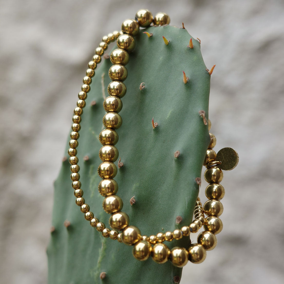 Gold beaded double bracelet on a cactus plant