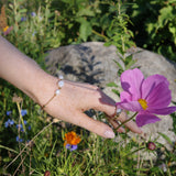 Model wearing a classic pearl  bracelet from A&C Oslo  made from steel and plated in 14K gold.  Features fresh water pearls linked with gold plated beads.  Measures 17cm and haws a 3cm extension chain at Cerise NZ.