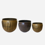 Marbella Planters from CC Interiors at Cerise. Available in 3 sizes - small and large in dark antique brass colour and medium in Black Antique Colour.  Made from aluminium and Ideal for indoor plants. Largest measures 320mm diameter x 275mm high.
