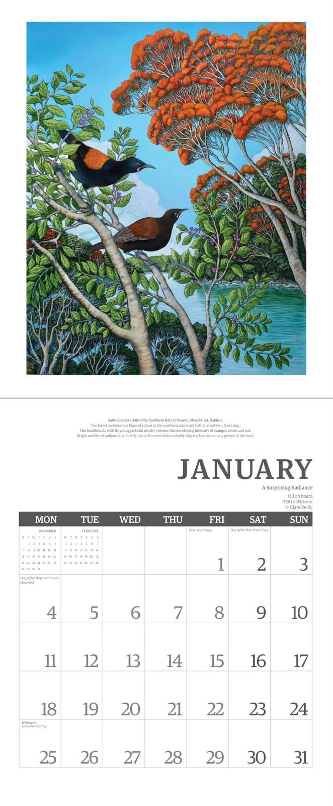 New Zealand Artist Clare Reilly 2027 Wall Calendar at Cerise. New Zealand design and print.