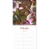 The  of the Flox Antipodes 2027 Calendar  is a New Zealand art calendar featuring Flox’s vibrant botanical illustrations inspired by the flora and fauna of Aotearoa at Cerise A clear monthly grid means this wall calendar is functional and beautiful. Our Flox design is a stunning introduction to a beautiful 2027 wall calendar and gift for lovers of New Zealand art, contemporary illustration, native plants, birds and nature.
