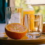 La rochere Dragonfly large and small glass tumblers at Cerise NZ