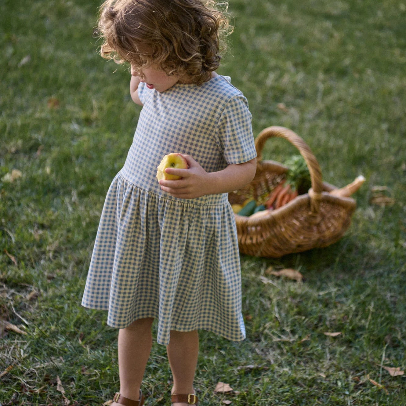 Nature Baby Saturday Dress in Blue Gingham at Cerise