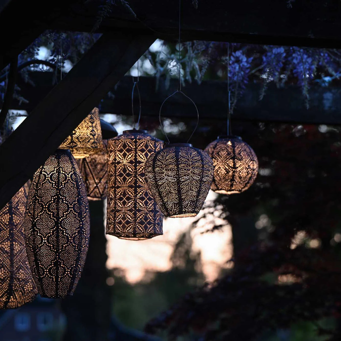Group of lumiz solar powered lanterns hanging from a tree at night time