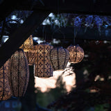 Group of lumiz solar powered lanterns hanging from a tree at night time