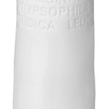 White porcelatin poetry wase with botanical script on outside