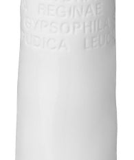 White porcelatin poetry wase with botanical script on outside