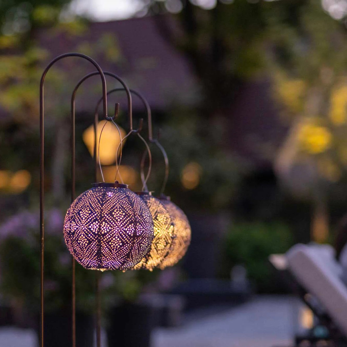 Group of purple coloured solar lanterns hanging rom a shepherds hook