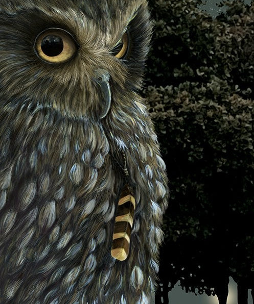 Boxed Aet print of Ruru (morepork) owl. 
