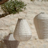 Lumiz Solar Lantern Tulip 20cm | 4 Colours