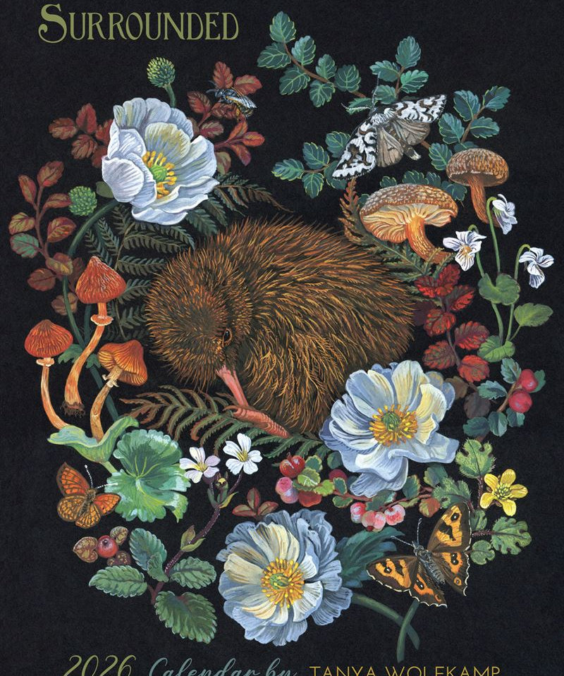 2026 Wolfkamp Calendar titled "surrounded" featuring New Zealand native flora and fauna