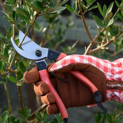 Red gardening secateurs