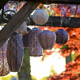 Shot of group of purple lanterns anding from a tree during the day time