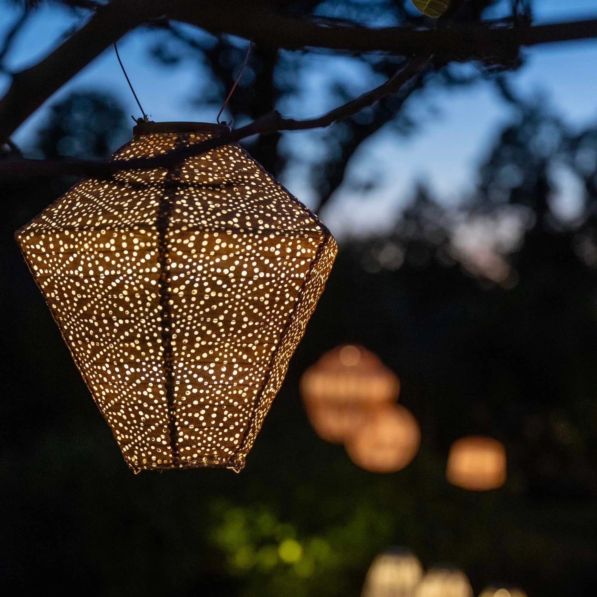 Decorative lantern hanging from a tree at night with blurred lights in the background