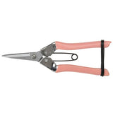 Blush coloured flower and fruit snips