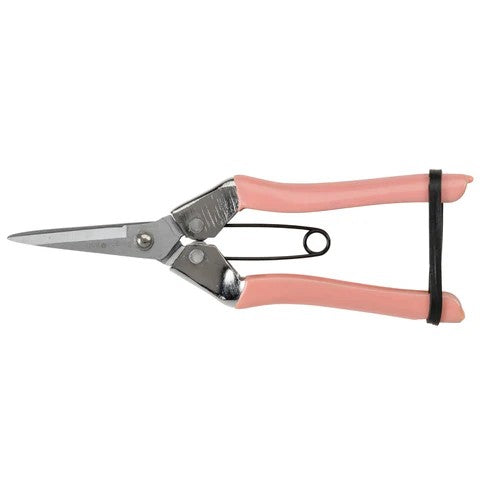 Blush coloured flower and fruit snips