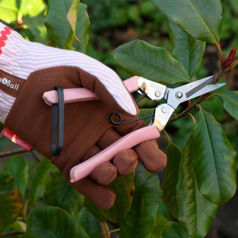 Blush coloured flower and fruit snips