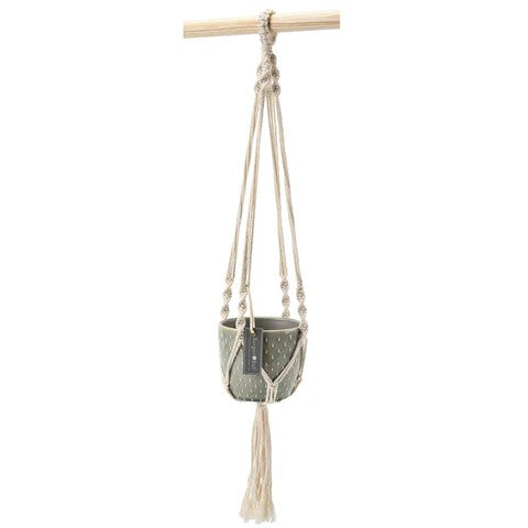 Macrame plant hanger with a pot on a white background