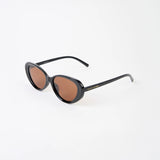 Black sunglasses with brown lenses on a white background