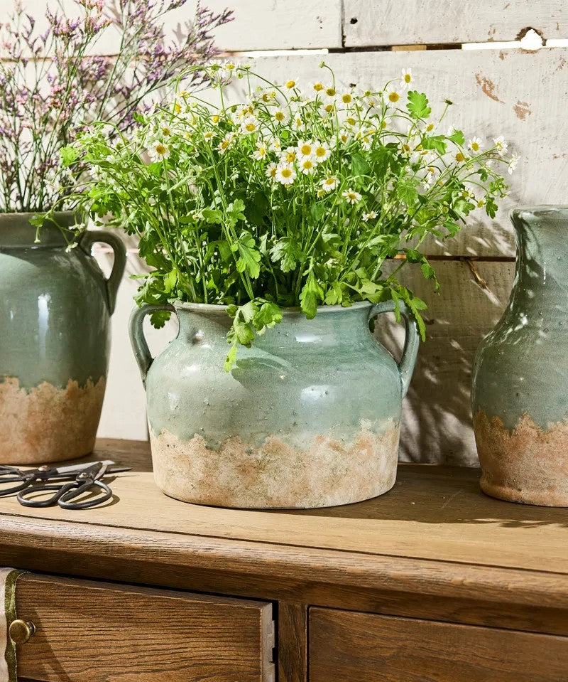 Three rustic ceramic pots with plants on a wooden surface